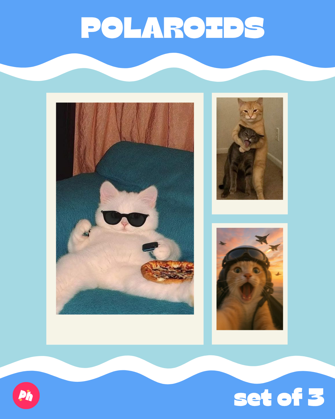 Cool Cat Polaroid set of 3